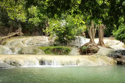 จุดกางเต็นท์สวนรุกขชาติวังก้านเหลือง รูปที่ 1