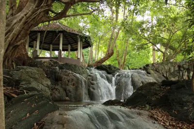 จุดกางเต็นท์สวนรุกขชาติวังก้านเหลือง รูปที่ 3