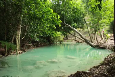 จุดกางเต็นท์สวนรุกขชาติวังก้านเหลือง รูปที่ 5