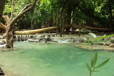 จุดกางเต็นท์สวนรุกขชาติวังก้านเหลือง รูปที่ 6