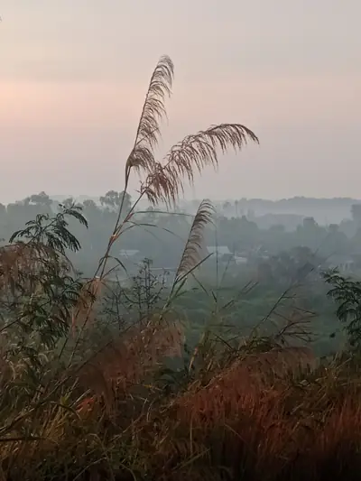 ไร่ปิ่นสุรางค์ รูปที่ 4