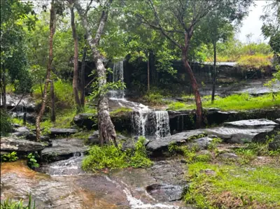 จุดลานกางเต็นท์อุทยานแห่งชาติภูผายล Phu Pha Yon National รูปที่ 6