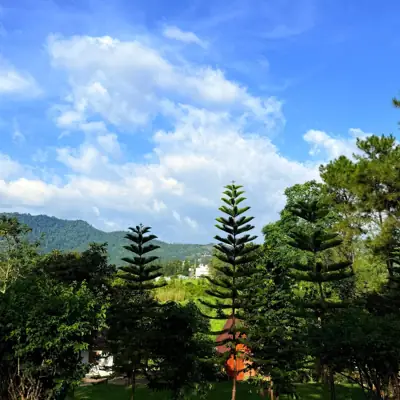 ไร่นุชชม รีสอร์ทเขาค้อ รูปที่ 3