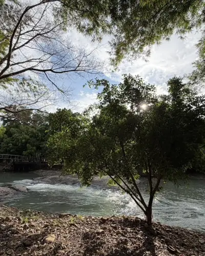 ลานรักแคมป์ (แก่งลานรัก คลองบึงไม้) รูปที่ 3