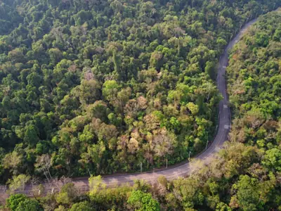 ลานกางเต็นท์ลานห้วยน้ำเย็น รูปที่ 4