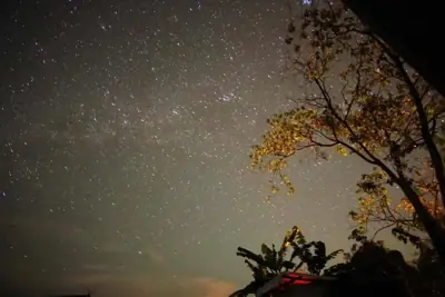 ไร่หมอจิตร แก่นมะกรูด รูปที่ 1