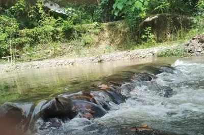 วังเจ้าคุณ โตนปลิว รูปที่ 3