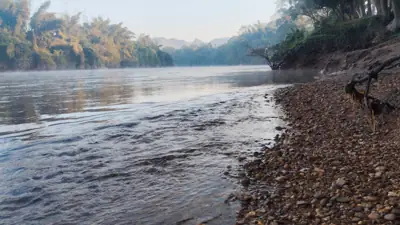 หาดหิน แคมป์ปิ้ง รูปที่ 8