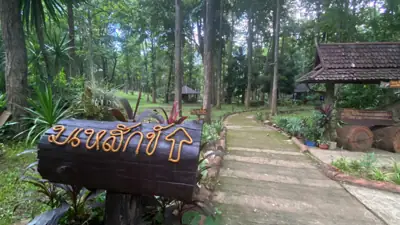 ลานกางเต็นท์ต้นสักใหญ่ รูปที่ 3