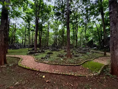ลานกางเต็นท์ผากลอง รูปที่ 2