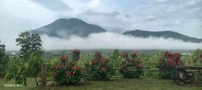 ลานกางเต็นท์ น้องศร นอนนา รูปที่ 2