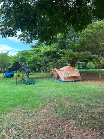 Lemon Camp รูปที่ 3