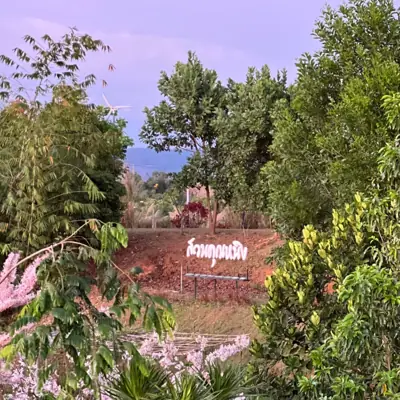 จิบแฟแลเขา Camping สวนคุณหนิง รูปที่ 9