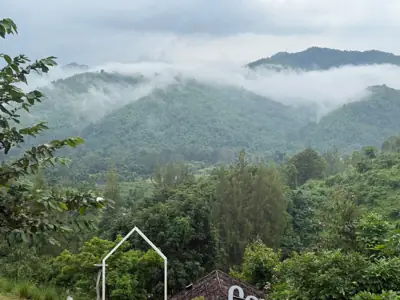 Camping Hill & Cafe รูปที่ 10