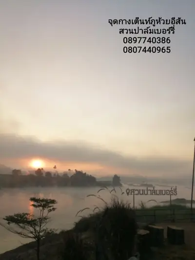 ภูห้วยอีสัน ภูผาดัก ภูหนอง สวนปาล์มเบอร์รี่ริมโขง รูปที่ 2