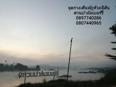ภูห้วยอีสัน ภูผาดัก ภูหนอง สวนปาล์มเบอร์รี่ริมโขง รูปที่ 3