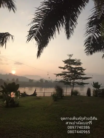ภูห้วยอีสัน ภูผาดัก ภูหนอง สวนปาล์มเบอร์รี่ริมโขง รูปที่ 4