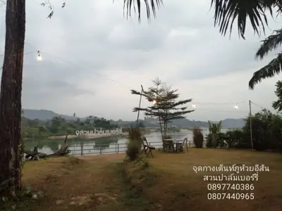 ภูห้วยอีสัน ภูผาดัก ภูหนอง สวนปาล์มเบอร์รี่ริมโขง รูปที่ 8