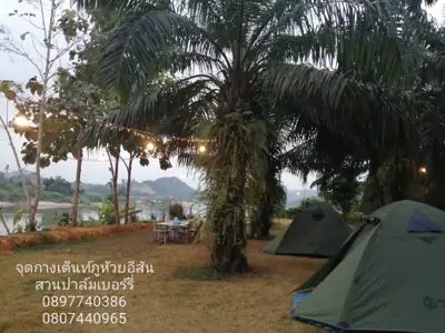 ภูห้วยอีสัน ภูผาดัก ภูหนอง สวนปาล์มเบอร์รี่ริมโขง รูปที่ 9