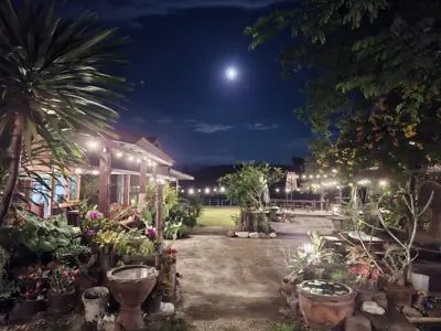 สวนเหนือเคียงโขง รูปที่ 2