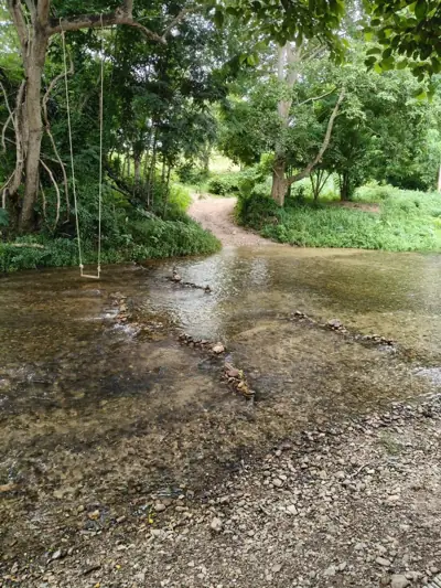 ไผ่หวานริมธาร Phai Wan Rim Than camping รูปที่ 1