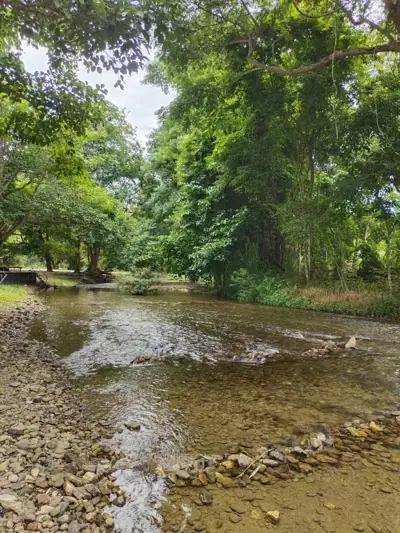 ไผ่หวานริมธาร Phai Wan Rim Than camping รูปที่ 7