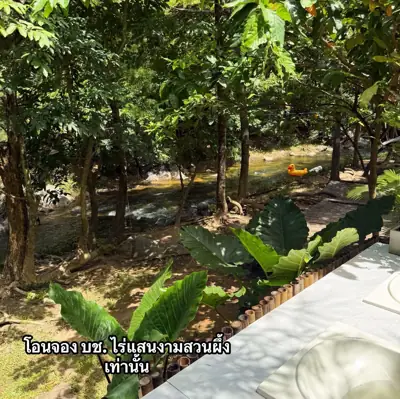 ไร่ปันสุขแคมป์ รูปที่ 3