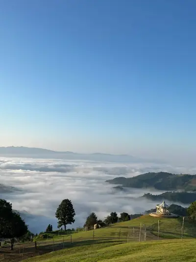 ภูนับดาววิว ดอยช้าง รูปที่ 1