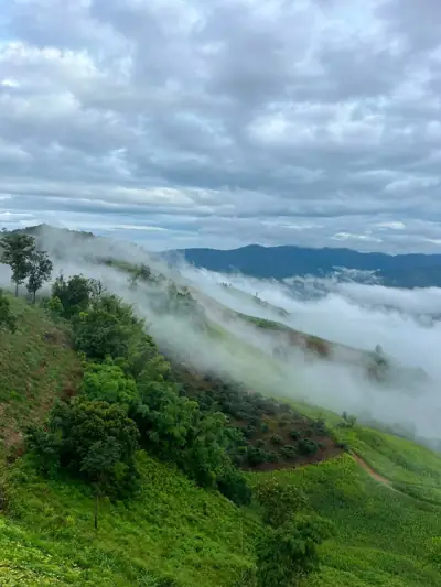 ภูนับดาววิว ดอยช้าง รูปที่ 10