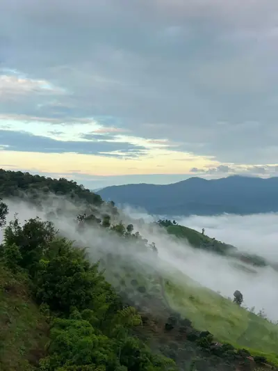ภูนับดาววิว ดอยช้าง รูปที่ 6