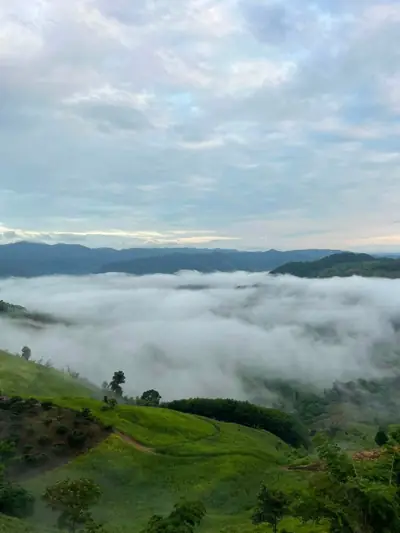 ภูนับดาววิว ดอยช้าง รูปที่ 7