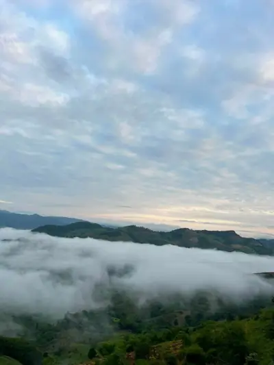 ภูนับดาววิว ดอยช้าง รูปที่ 8