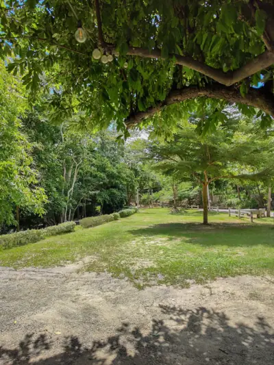 ธาราหลังเขา แคมป์ปิ้ง - Tara Lang Khao Camping รูปที่ 4