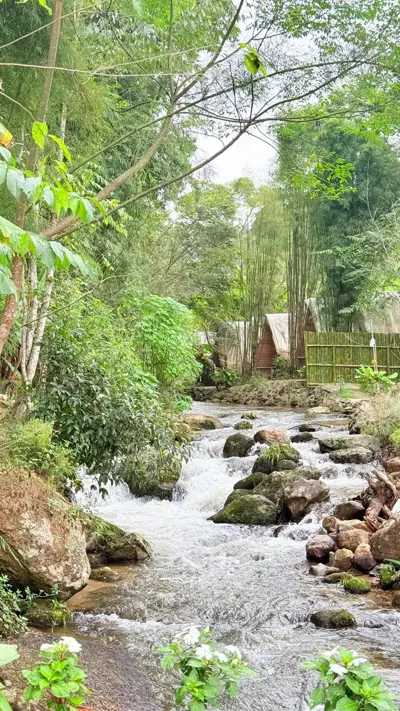 ชลธาร วิว ลานกางเต็นท์ดอยอินทนนท์ รูปที่ 1
