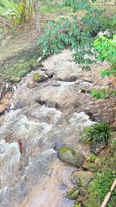 ชลธาร วิว ลานกางเต็นท์ดอยอินทนนท์ รูปที่ 5