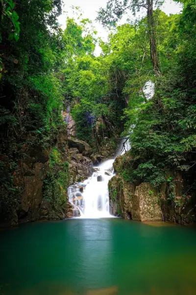 ลานกางเต็นท์ตรอกนอง รูปที่ 1