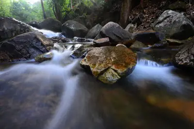 ลานกางเต็นท์ตรอกนอง รูปที่ 6