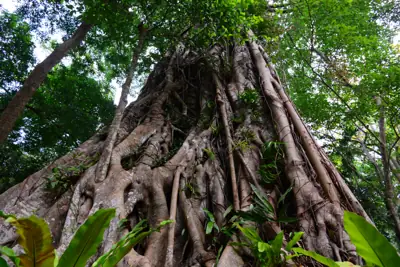 ลานกางเต็นท์ห้วยยาง รูปที่ 5