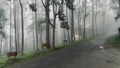 ลานกางเต็นท์ภูสน รูปที่ 1