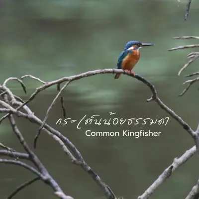 ลานกางเต็นท์คลองปลากั้ง รูปที่ 3