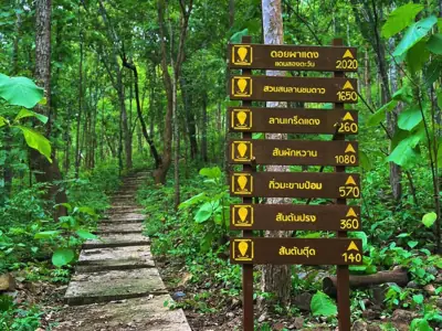 ลานกางเต็นท์น้ำตกแม่วะ รูปที่ 5