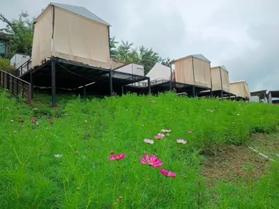 บ้านภูหมอก ม่อนแจ่ม รูปที่ 7