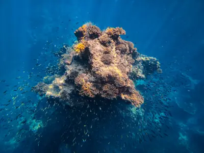 ลานกางเต็นท์หมู่เกาะชุมพร รูปที่ 10