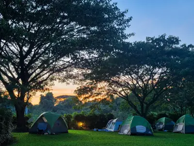 3P Park Cafe & Farmstay รูปที่ 3