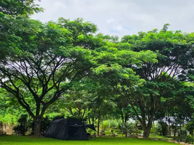 3P Park Cafe & Farmstay รูปที่ 4