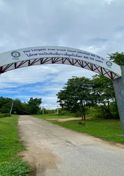 อุทยานแห่งชาติดอยสอยมาลัย-ไม้กลายเป็นหิน (เตรียมการ) - พื้นที่กางเต็นท์ รูปที่ 2