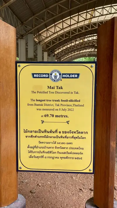อุทยานแห่งชาติดอยสอยมาลัย-ไม้กลายเป็นหิน (เตรียมการ) - พื้นที่กางเต็นท์ รูปที่ 5