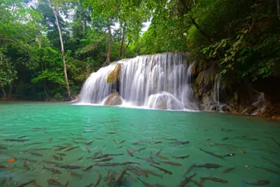 ลานกางเต็นท์ อุทยานแห่งชาติเอราวัณ รูปที่ 2