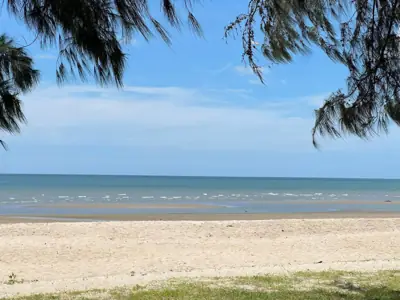 จุดกางเต็นท์หาดจอมพล -สถานพักฟื้นและพักผ่อนกองทัพบก รูปที่ 5