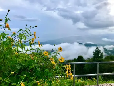 วนอุทยานดอยหัวแม่คำ รูปที่ 2